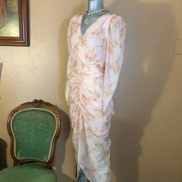 NWOT GIA LONG SLV FLORAL PRINT SHIRING DRESS.  SZ M - Picture 1 of 5